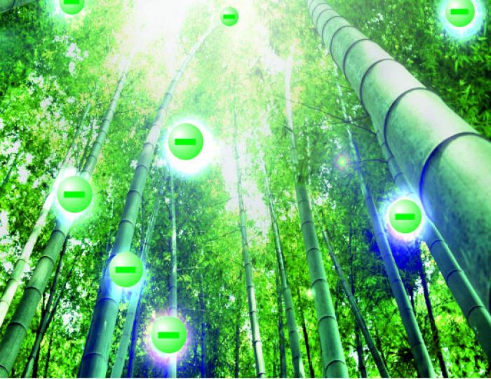 Аэроионотерапия - Курорт-отель «Демерджи»